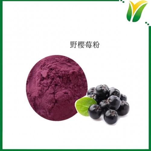 黑果花楸果粉 野櫻莓粉 黑果腺肋花楸粉