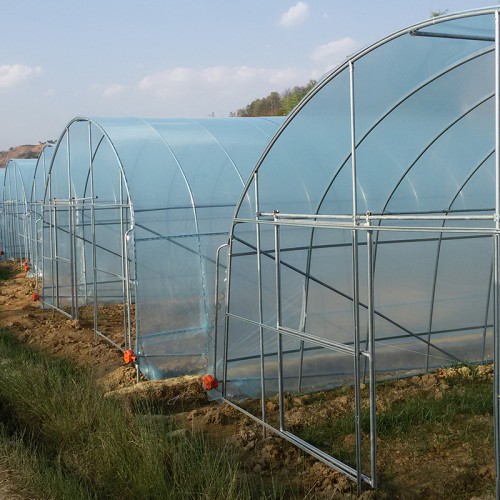 單體棚質量可靠