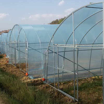 新式冷棚 不用徹墻的溫室大棚 現代化暖棚蔬菜大棚造價