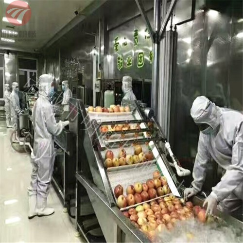 水果蔬菜高壓噴淋氣泡清洗機(jī) 多功能 全自動(dòng) 廠家直供
