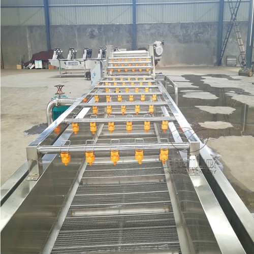 葉類蔬菜氣泡清洗機蔬菜去雜去農殘清洗流水線