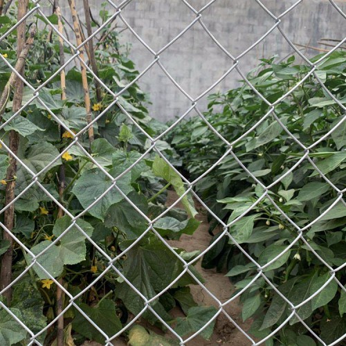 果園護欄網(wǎng) 圈山護欄網(wǎng) 圍地隔離網(wǎng)