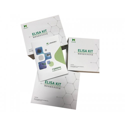 兔子睪酮(T)ELISA試劑盒