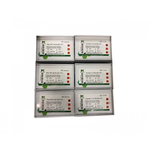 大鼠總三碘甲腺原氨酸(TT3)ELISA試劑盒