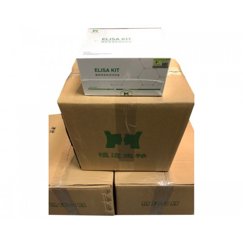 人胰島素樣生長因子結合蛋白-7(IGFBP-7)