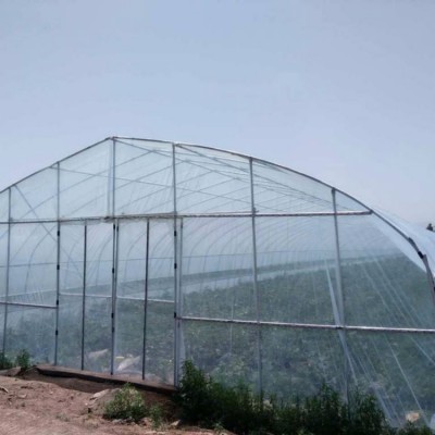 農(nóng)用大棚骨架生產(chǎn)廠 簡易蔬菜大棚造價每畝 溫室大棚建設(shè)