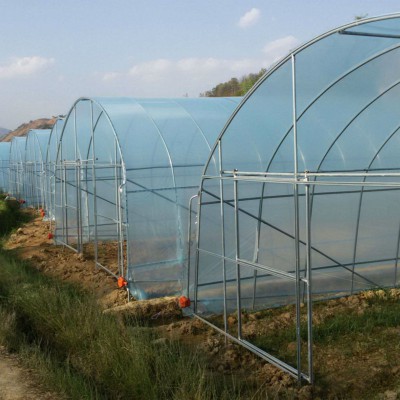 番茄大棚 反季節(jié)蔬菜大棚建造 葡萄溫室大棚造價 梨樹大棚