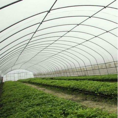 江蘇宿遷大棚 薄膜溫室 12米寬大棚造價 鋼構(gòu)大棚