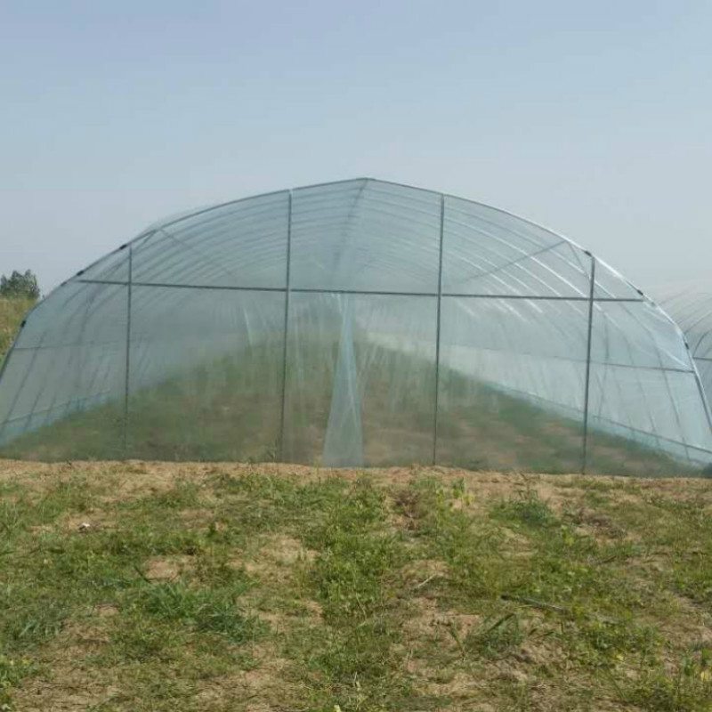 木耳大棚需投資 種植大棚一平方 種花大棚 甜瓜黃瓜大棚建造