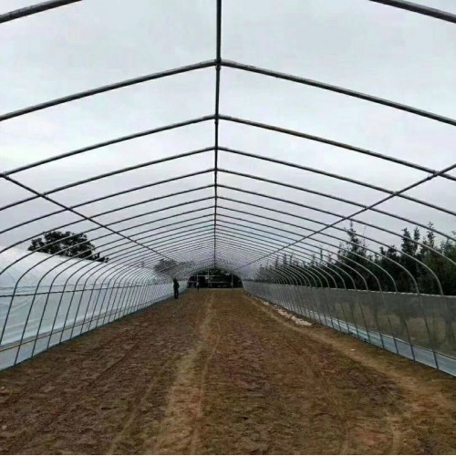 農用溫室大棚 后墻式大棚 菜棚搭建一畝 輕鋼蔬菜大棚造價