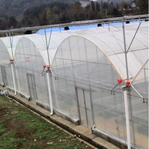 薄膜連棟大棚 連動薄膜大棚溫室 連體棚造價 簡易大棚建造