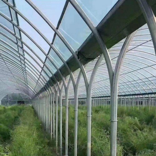 連棟拱棚 農(nóng)作物大棚 冬暖式日光溫室大棚 陽光大棚