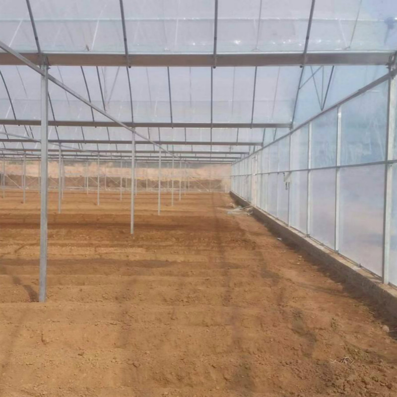 蔬菜連棟大棚 野菜種植大棚 水稻育秧大棚 西紅柿大棚