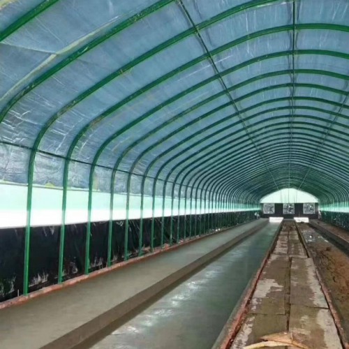 熱鍍鋅鋼管養殖大棚 肉鴨養殖大棚建設造價 溫室大棚包工包料