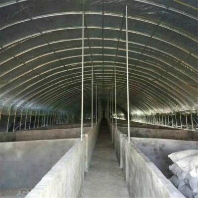 500平養(yǎng)豬大棚造價 養(yǎng)殖大棚建造一平方米 搭建養(yǎng)豬大棚