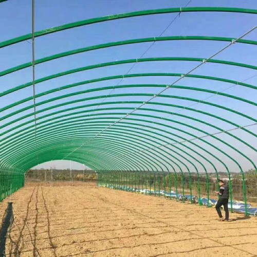 現(xiàn)代化養(yǎng)殖豬舍 養(yǎng)殖大棚鋼管加工 簡易養(yǎng)牛大棚