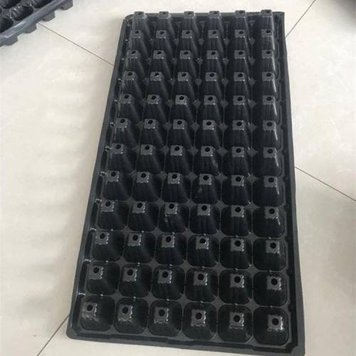 育苗盤 環保型育苗盤 植物培育穴盤 祥慶育苗盤