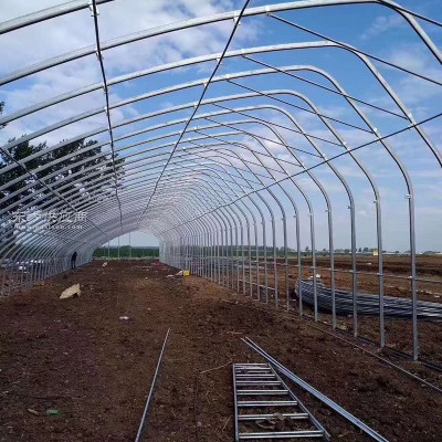 活動棚 單體拱棚溫室