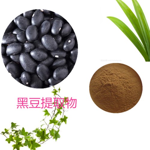 黑豆粉 黑豆速溶粉 黑豆提取物 水提 10:1  20:1