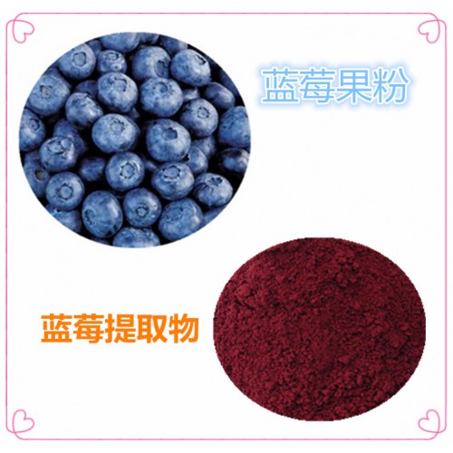 藍莓粉  藍莓速溶粉 藍莓提取物 水提 10:1
