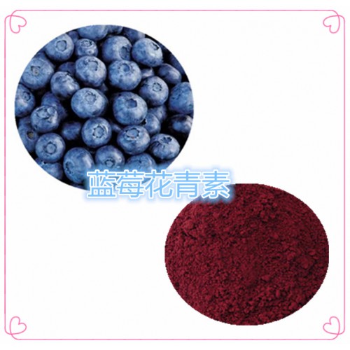 藍莓花青素 25%  藍莓提取液 10:1  20:1