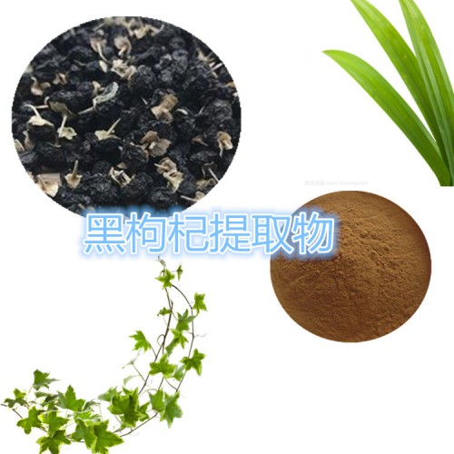 黑枸杞粉 黑枸杞速溶粉 黑枸杞提取物 水提 10:1