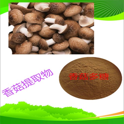 香菇提取物 水提 10:1 香菇浸膏 香菇速溶粉