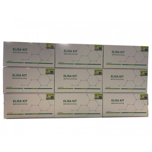 植物組蛋白乙酰轉移酶(HAT)ELISA試劑盒