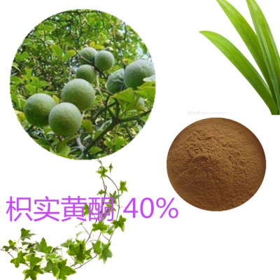 枳實(shí)黃酮 40%  80%  枳實(shí)提取液 10:1  多規(guī)格