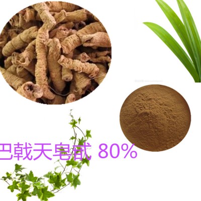 巴戟天皂甙 80%  巴戟天提取液 10:1 多規(guī)格