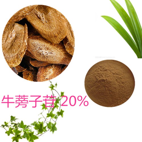 牛蒡子苷20% 牛蒡子提取液 10:1  多規格