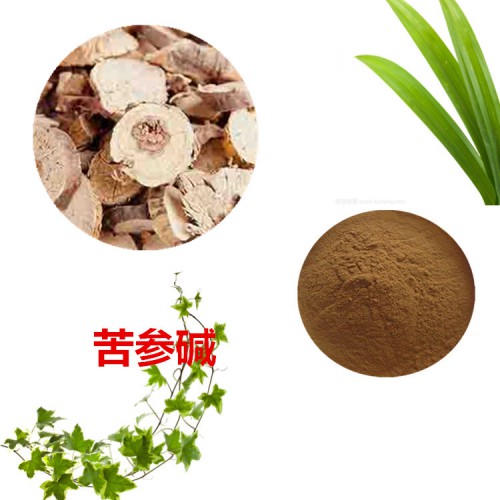 苦參堿 98% 苦參提取液 10:1  多規(guī)格