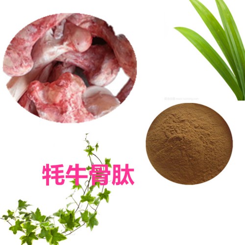 牦牛骨肽、牦牛骨膠原蛋白肽 牦牛骨蛋白