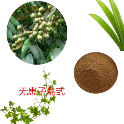 無患子皂甙 80%  無患子提取液 10:1 多規(guī)格