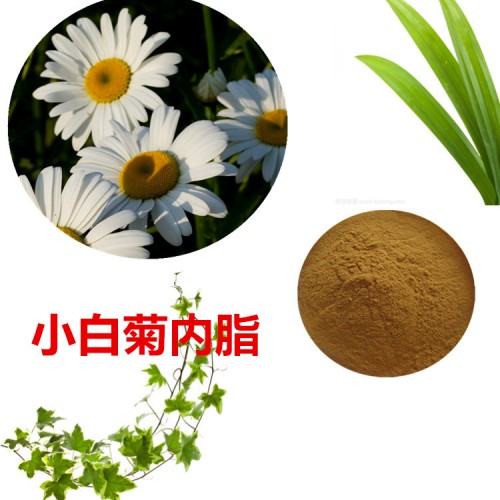 小白菊提取物 水提 小白菊內(nèi)脂 2%  小白菊浸膏粉