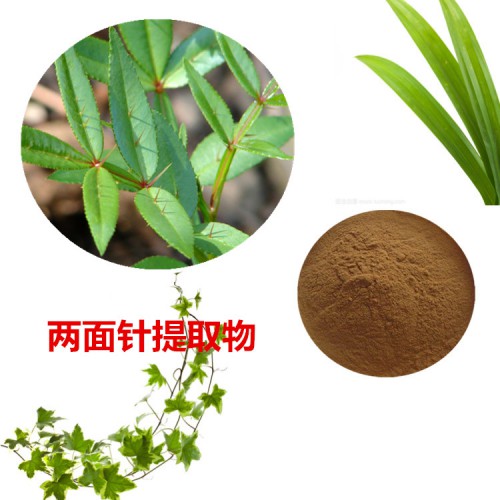 兩面針提取物  兩面針粉  兩面針?biāo)偃芊? 兩面針浸膏粉