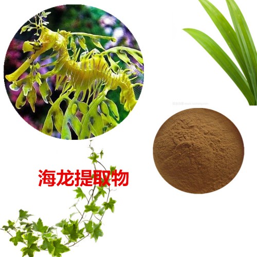 海龍?zhí)崛∥? 海龍粉  海龍速溶粉 海龍浸膏粉