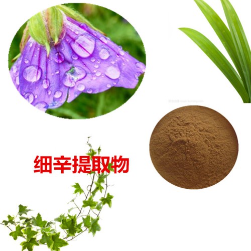 細(xì)辛提取物 細(xì)辛粉 細(xì)辛速溶粉 細(xì)辛浸膏粉