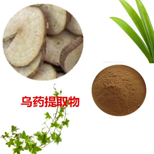 烏藥提取物  烏藥粉 烏藥速溶粉 烏藥浸膏粉