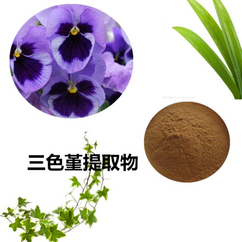 三色堇提取物  三色堇粉 三色堇速溶粉 三色堇浸膏粉