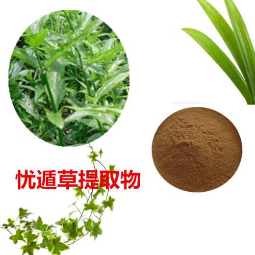 憂遁草提取物  憂遁草粉 憂遁草速溶粉 憂遁草浸膏粉