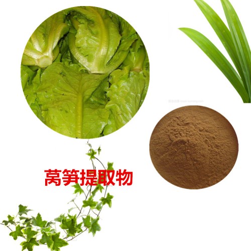 萵筍提取物 萵筍粉  萵筍速溶粉 萵筍浸膏粉