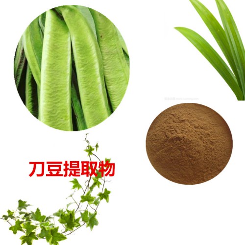 刀豆提取物   刀豆粉  刀豆速溶粉 刀豆浸膏粉