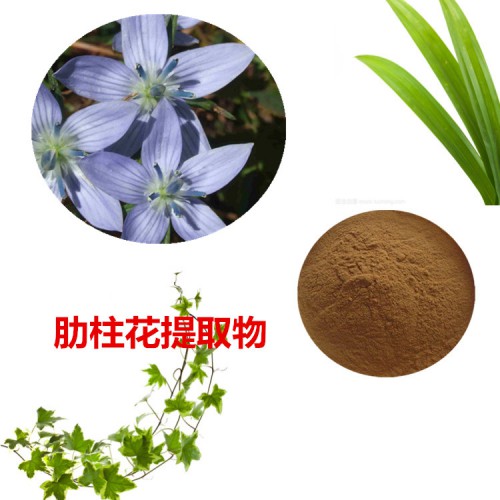 肋柱花提取物   肋柱花粉  肋柱花速溶粉 肋柱花浸膏粉