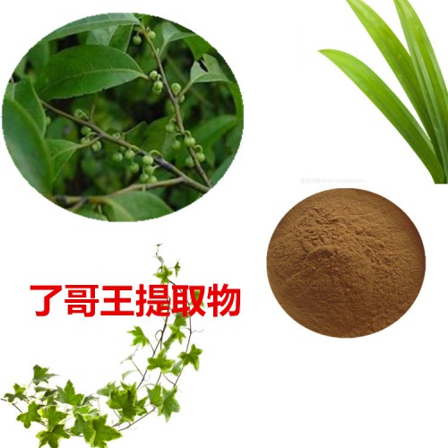 了哥王提取物  了哥王粉  了哥王速溶粉 了哥王浸膏粉
