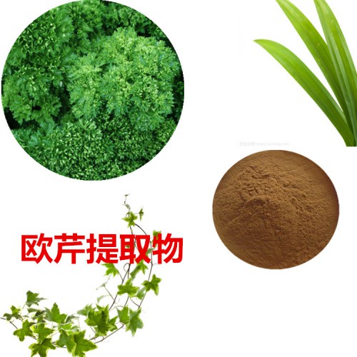 歐芹提取物 10:1  歐芹粉 歐芹速溶粉 歐芹浸膏粉
