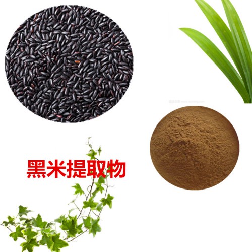 黑米提取物 10:1  黑米粉 黑米花青素 黑米浸膏粉