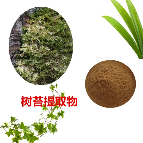 樹(shù)苔提取物 10:1  樹(shù)苔粉 樹(shù)苔速溶粉 樹(shù)苔浸膏粉