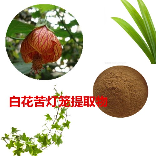 白花苦燈籠提取物 白花苦燈籠粉 白花苦燈籠速溶粉
