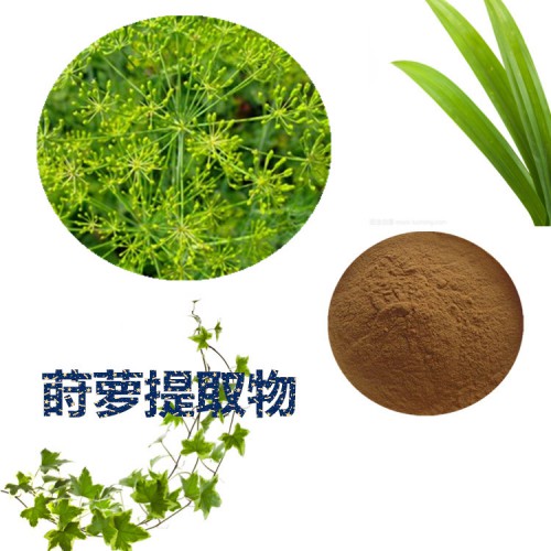 蒔蘿提取物 10:1  蒔蘿粉 蒔蘿速溶粉 蒔蘿浸膏粉